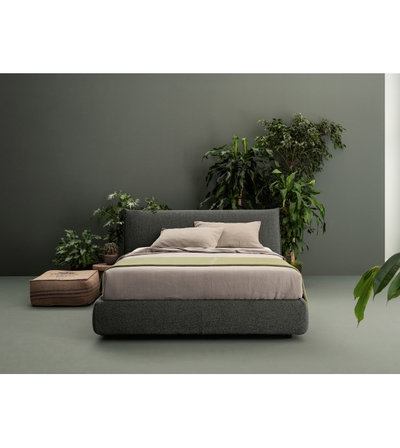 Toffee Caccaro Bed