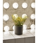 Plant Pot with Saucer Vase Hay