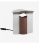 RF200 Petal Lamp Carl Hansen & Søn Table Lamp