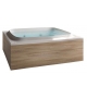 Skyline Indoor Jacuzzi Jacuzi