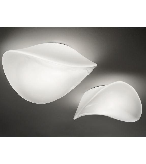 Balance Vistosi Ceiling-Wall Lamp