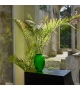 Plumes Vase Lalique