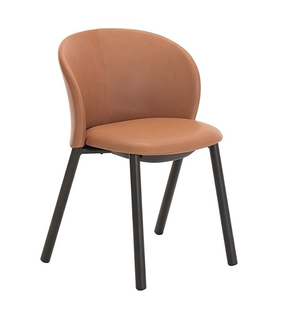 Daisy Zanotta Chair