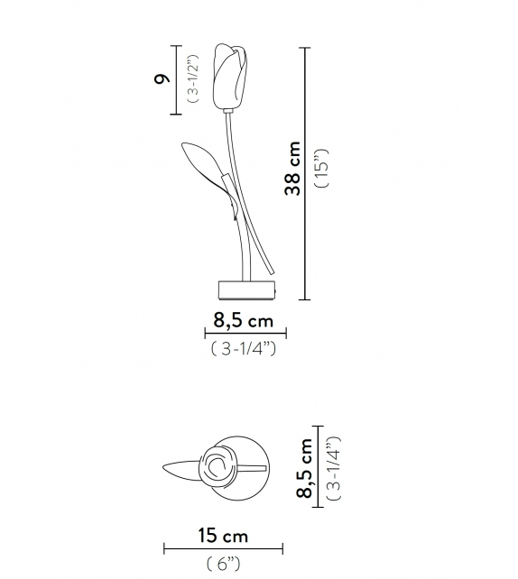 Clizia Battery Slamp Tischleuchte