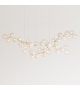 Maehwa Chandelier Branch 51 Giopato & Coombes Candelabro