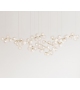 Maehwa Chandelier Branch 68 Giopato & Coombes