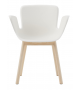 Juli Plastic Cappellini Small Armchair