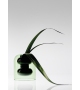 Vase Bump Short Tom Dixon