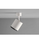 Beam Master 80 Olev Ceiling Lamp