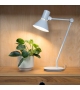 Type 80 Anglepoise Lampada da Tavolo