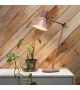 Type 80 Anglepoise Lampada da Tavolo