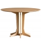 Badano 1954 Codiceicona Table