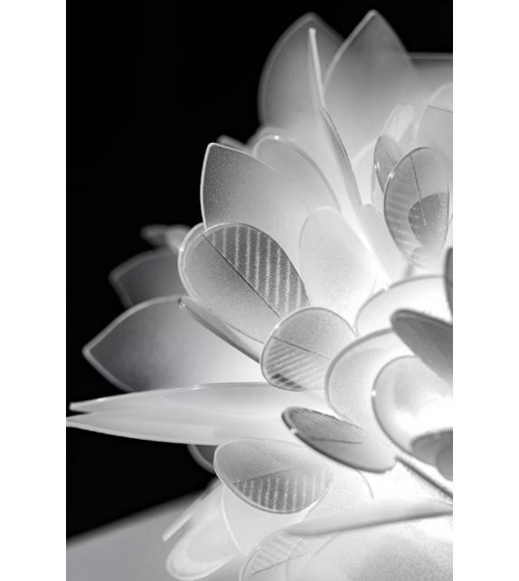 Veli Foliage Slamp Ceiling/Wall Lamp