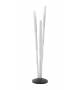 Telescopic Pallucco Floor Lamp