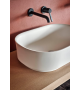 Immersion Agape Washbasin