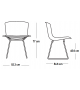 Bertoia Plastic Knoll Set de 2 Chaises