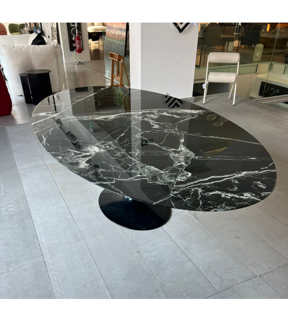 Prêt pour l'expédition - Saarinen Knoll Table Ovale