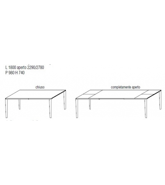 Filigree Table Extendable Molteni&C