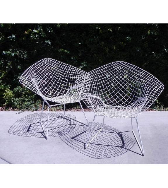 Bertoia Diamond Chair Poltroncina Outdoor Knoll