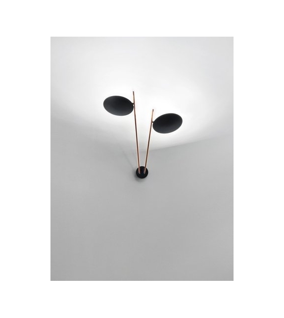 Lederam W2 Wall Lamp Catellani&Smith