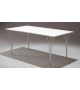 Rectangular Fritz Hansen Table