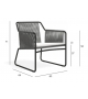 Harp 368 Lounge Chair With Cushion Roda