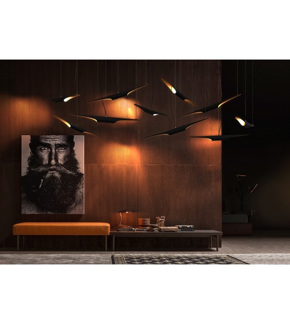 Coltrane DelightFULL Pendant Lamp