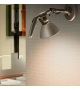 Fortebraccio Luceplan Wall / Ceiling Lamp