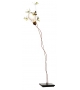 I Ricchi Poveri Five Butterflies Ingo Maurer Table Lamp