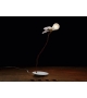 Lucellino LED Ingo Maurer Lampe de Table