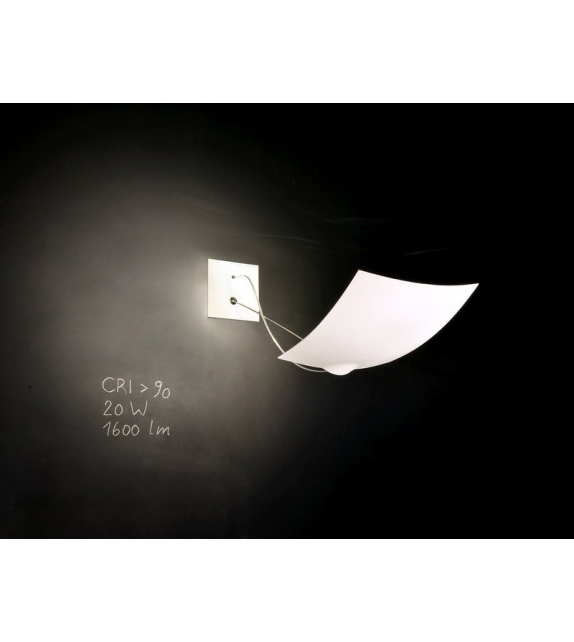 18 x 18 Ingo Maurer Wall Lamp