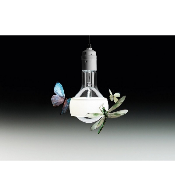 Johnny B. Butterfly Ingo Maurer Pendant Lamp