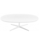 Eolo Arper Oval Coffee Table With MDF Top