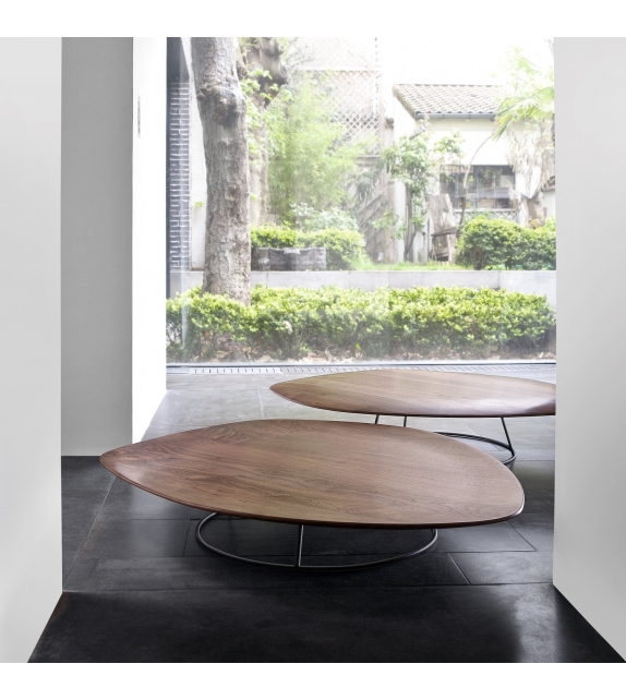 Pebble Ligne Roset Low Table