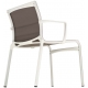 Frame XL- 459 Alias Chair