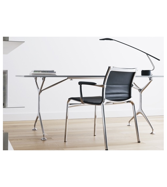 Frame XL- 459 Alias Chair