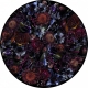 Fool's Paradise Moooi Tapis