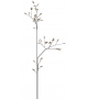 16. 40 Birch Bocci Outdoor Lamp