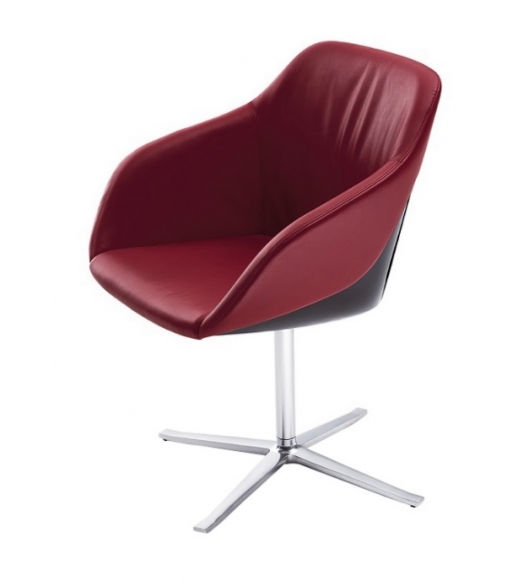 Turtle Walter Knoll Chair