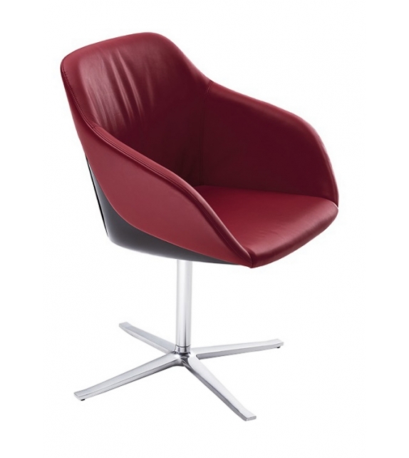 Turtle Walter Knoll Silla