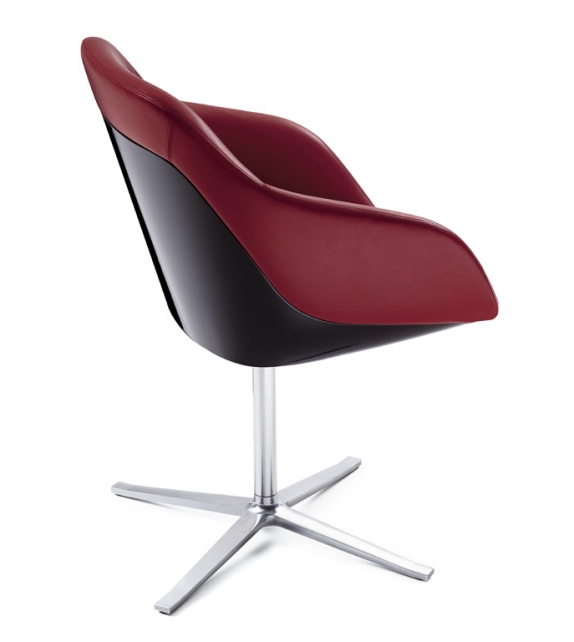 Turtle Walter Knoll Silla