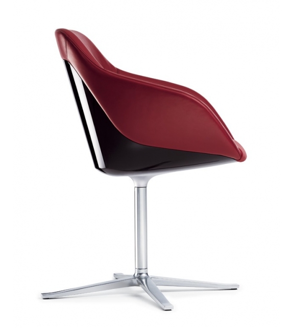 Turtle Walter Knoll Chair